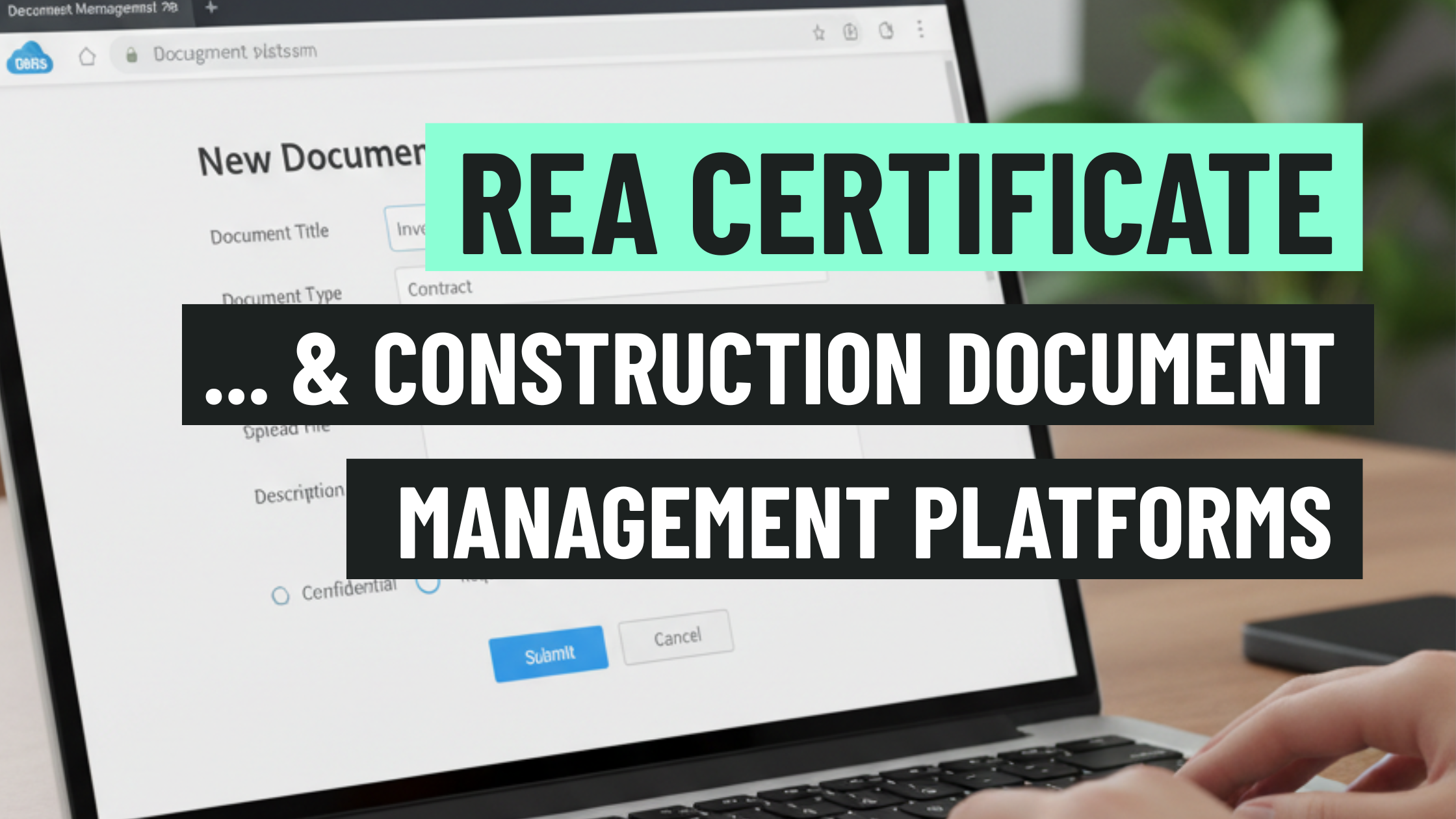 REA certificate Spain